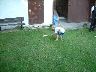 dscf0415